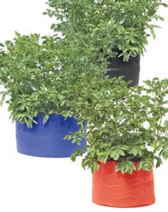 Grow bags with potato plants