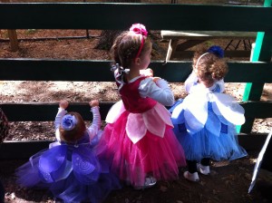 Aunie's fairies