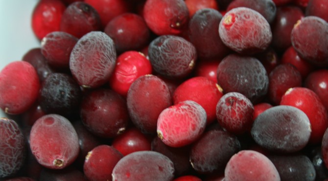 Cranberries02