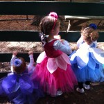 Aunie's fairies